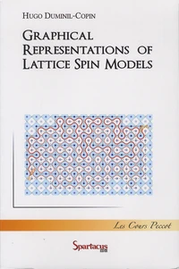 Graphical Representations of Lattice Spin Models