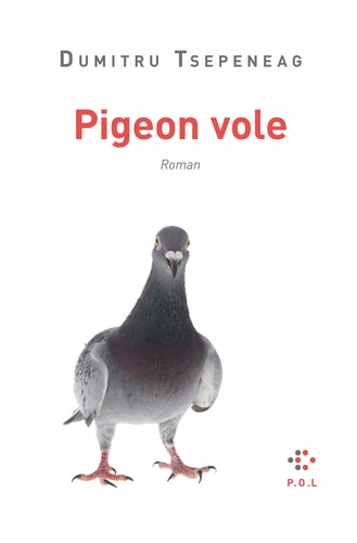 Pigeon vole