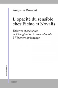 L'opacité du sensible chez Fichte et Novalis
