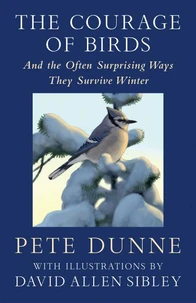 The Courage of Birds