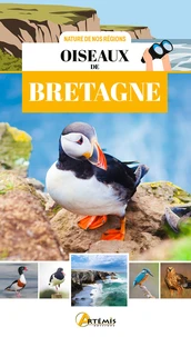 Oiseaux de Bretagne