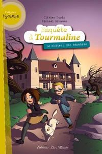 Le château des ténèbres