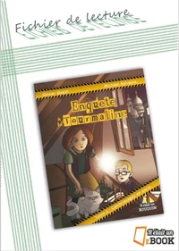 Fichier de lecture La Tourmaline tome 1 : Cambriolages en série