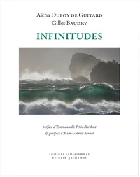 Infinitudes
