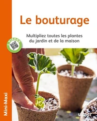 Le bouturage