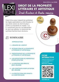 Droit de la propriété littéraire et artistique