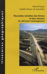 Nouvelles échelles des firmes et des réseaux