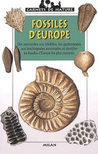 Fossiles D'Europe