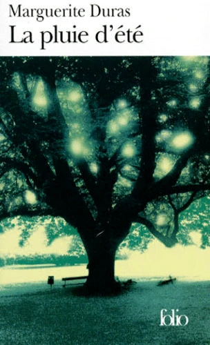 couverture de : La pluie d'&eacute;t&eacute;