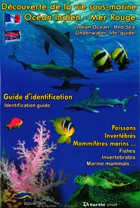 Découverte de la vie sous-marine