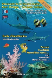 Découverte de la vie sous-marine