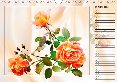 CALVENDO Nature  Roses Beauté des fleurs (Calendrier mural 2020 DIN A4 horizontal). Images de Roses dans la conception artistique (Calendrier anniversaire, 14 Pages )