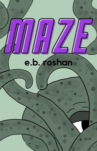  E.B. Roshan - Maze.
