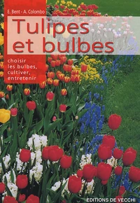 Les tulipes et les bulbes