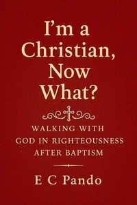 I'm A Christian, Now What?