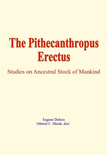 The Pithecanthropus Erectus. Studies on Ancestral Stock of Mankind