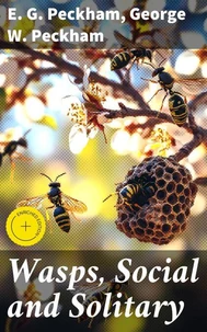 Wasps, Social and Solitary