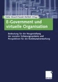 E-Government und virtuelle Organisation - Bedeutung für die Neugestaltung der sozialen Sicherungssysteme und Perspektiven für die Kommunalverwaltung.
