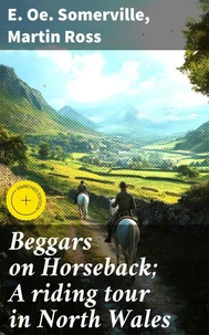 Beggars on Horseback; A riding tour in North Wales