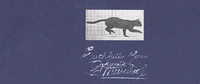 Cat galloping