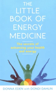 The Little Book of Energy Medicine