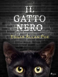 Il gatto nero