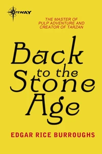 Back to the Stone Age