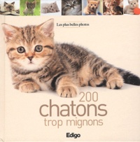  Edigo - 200 chatons trop mignons.