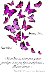 Carnet A6 Papillons Été Framboise
