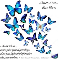 Sac Papillons Printemps Bleu