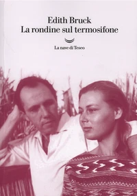La rondine sul termosifone