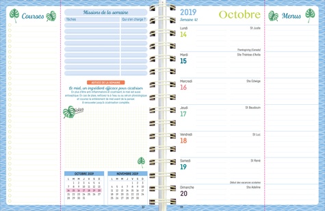 Mémoniak : agenda familial maman solo : de septembre à décembre (édition  2022/2023) - Nesk - Editions 365 - Papeterie / Coloriage - Librairie  Passages LYON