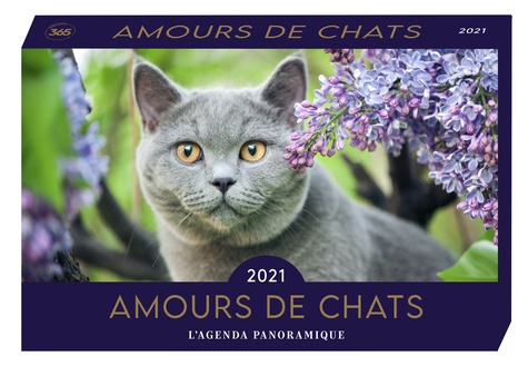 Amours de chats  Edition 2021