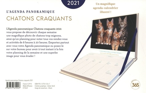 Chatons craquants  Edition 2021