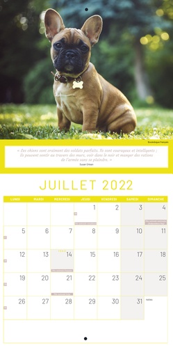 Le calendrier Bébés animaux  Edition 2022