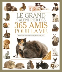 Le grand calendrier des 365 amis pour la vie