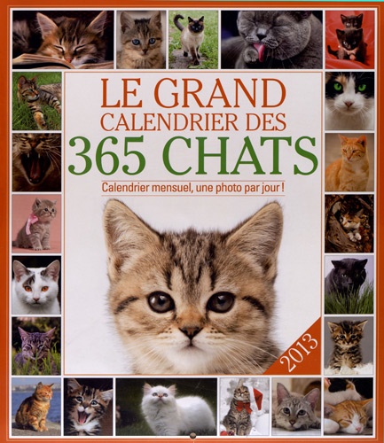  Editions 365 - Le grand calendrier des 365 chats 2013.