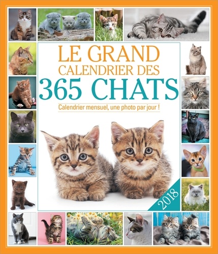  Editions 365 - Le grand Calendrier des 365 chats - Calendrier mensuel, une photo par jour !.