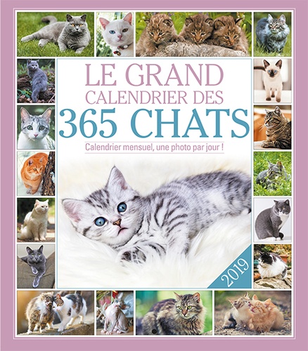  Editions 365 - Le grand calendrier des 365 chats.