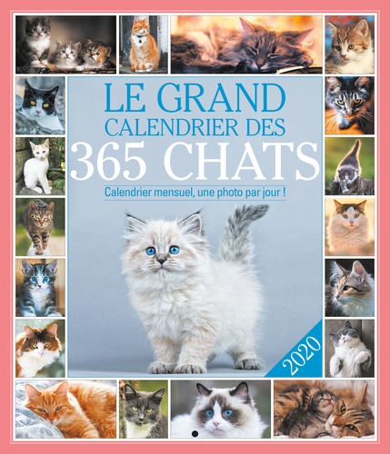 Le grand calendrier des 365 chats  Edition 2020