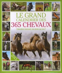 Le grand calendrier des 365 chevaux 2013