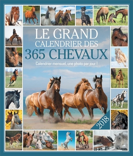  Editions 365 - Le grand calendrier des 365 chevaux - Calendrier mensuel, une photo par jour !.