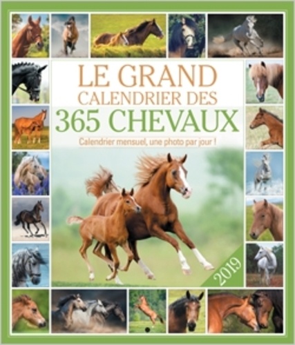  Editions 365 - Le grand calendrier des 365 chevaux.