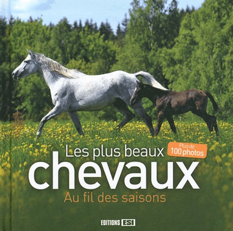  Editions ESI - Les plus beaux chevaux - Au fil des saisons.