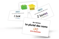 Cartes du pluriel des noms