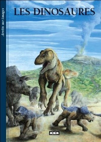  Editions MSM - Les dinosaures.
