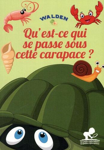 Qu'est-ce qui se passe sous cette carapace ?