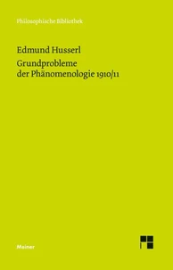 Grundprobleme der Phänomenologie 1910/11