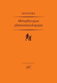 Métaphysique phénoménologique