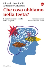 Che cosa abbiamo nella testa?